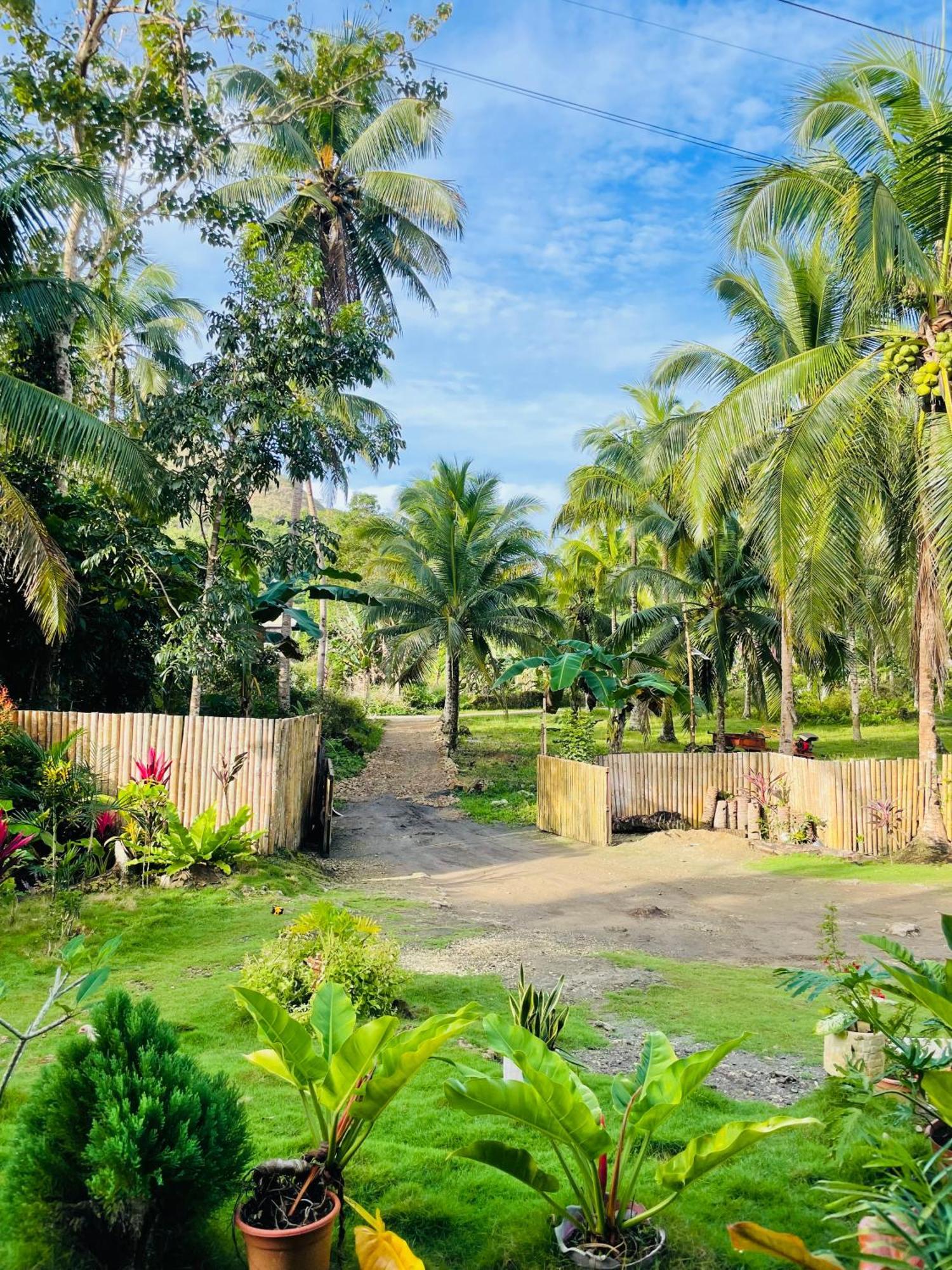 Bed and Breakfast Casa Aguelo Chocolate Hills Carmen  Exterior foto