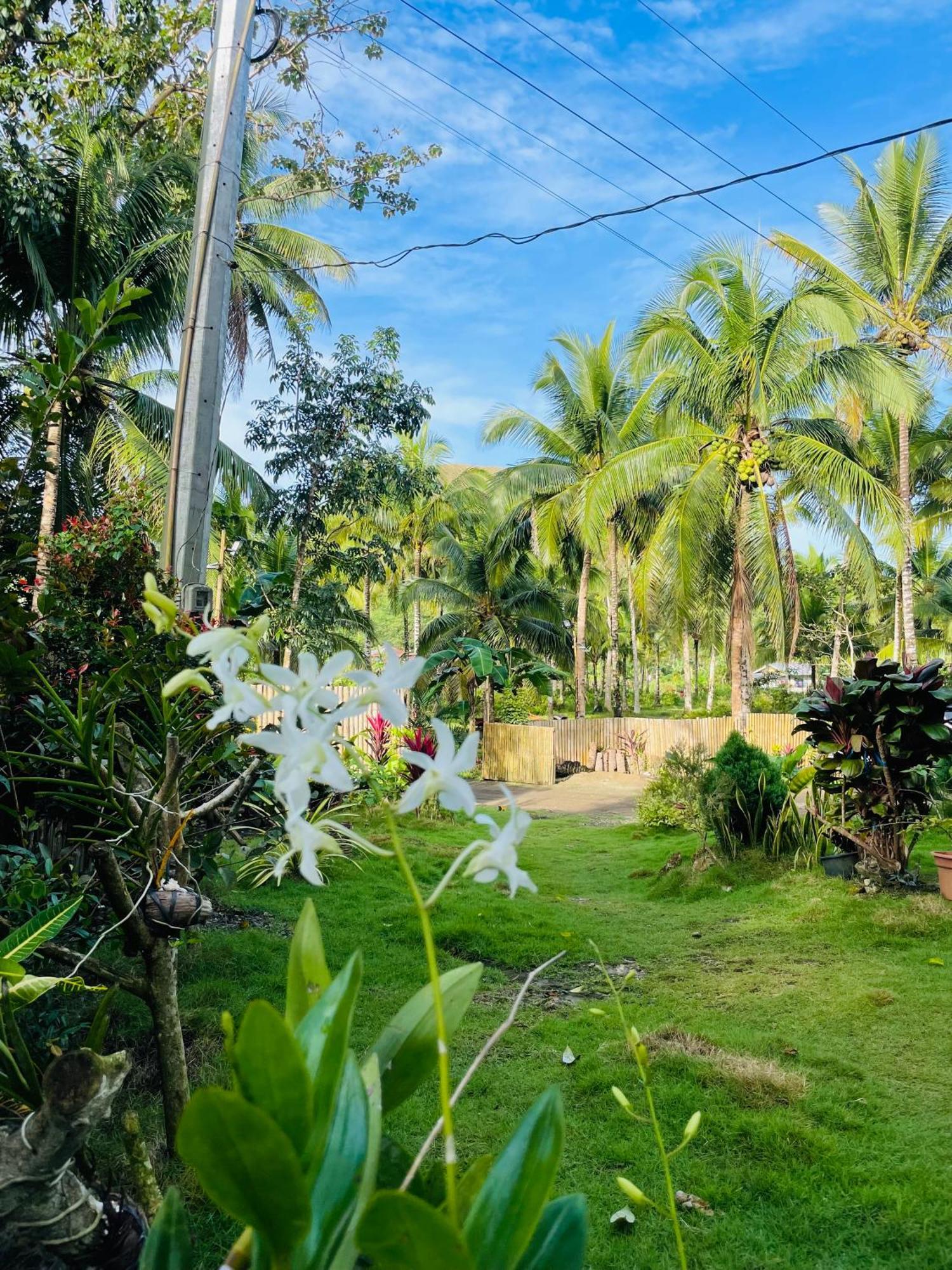 Bed and Breakfast Casa Aguelo Chocolate Hills Carmen  Exterior foto