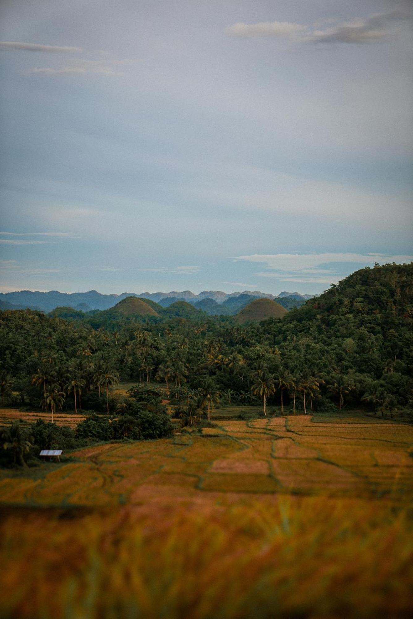 Bed and Breakfast Casa Aguelo Chocolate Hills Carmen  Exterior foto